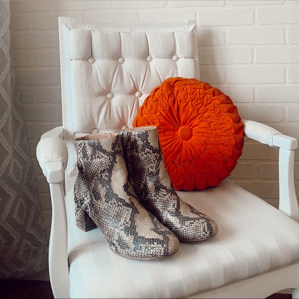 Snake skin bootie